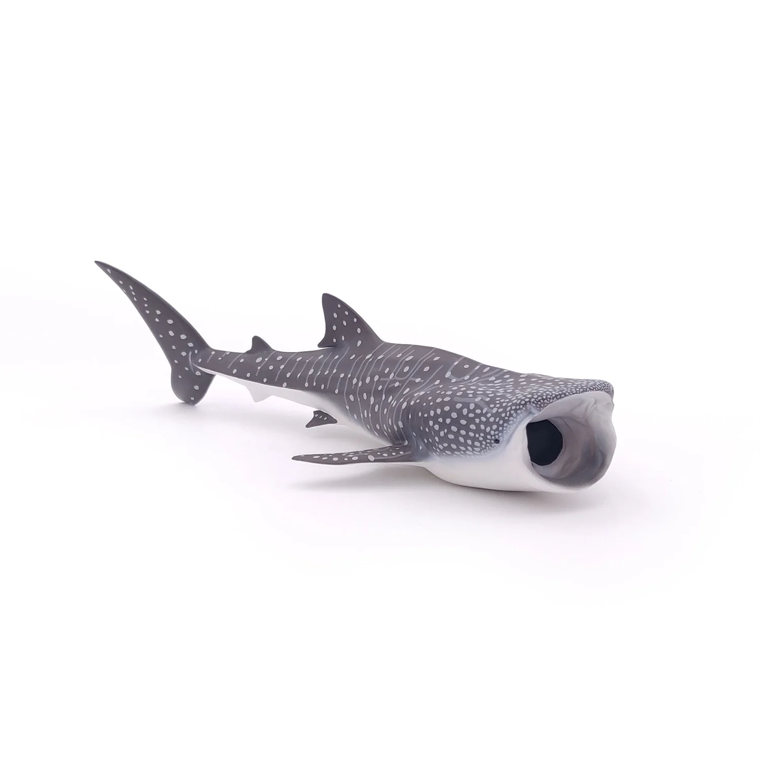 Miniature 1
