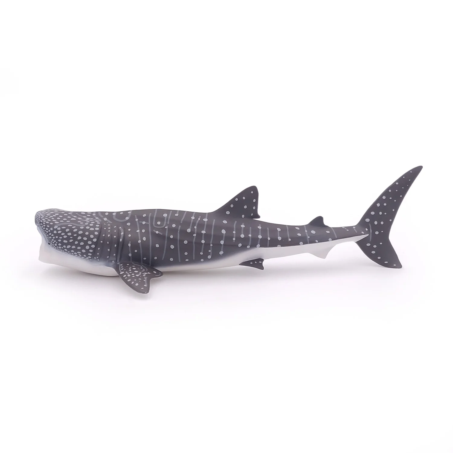 Miniature 5