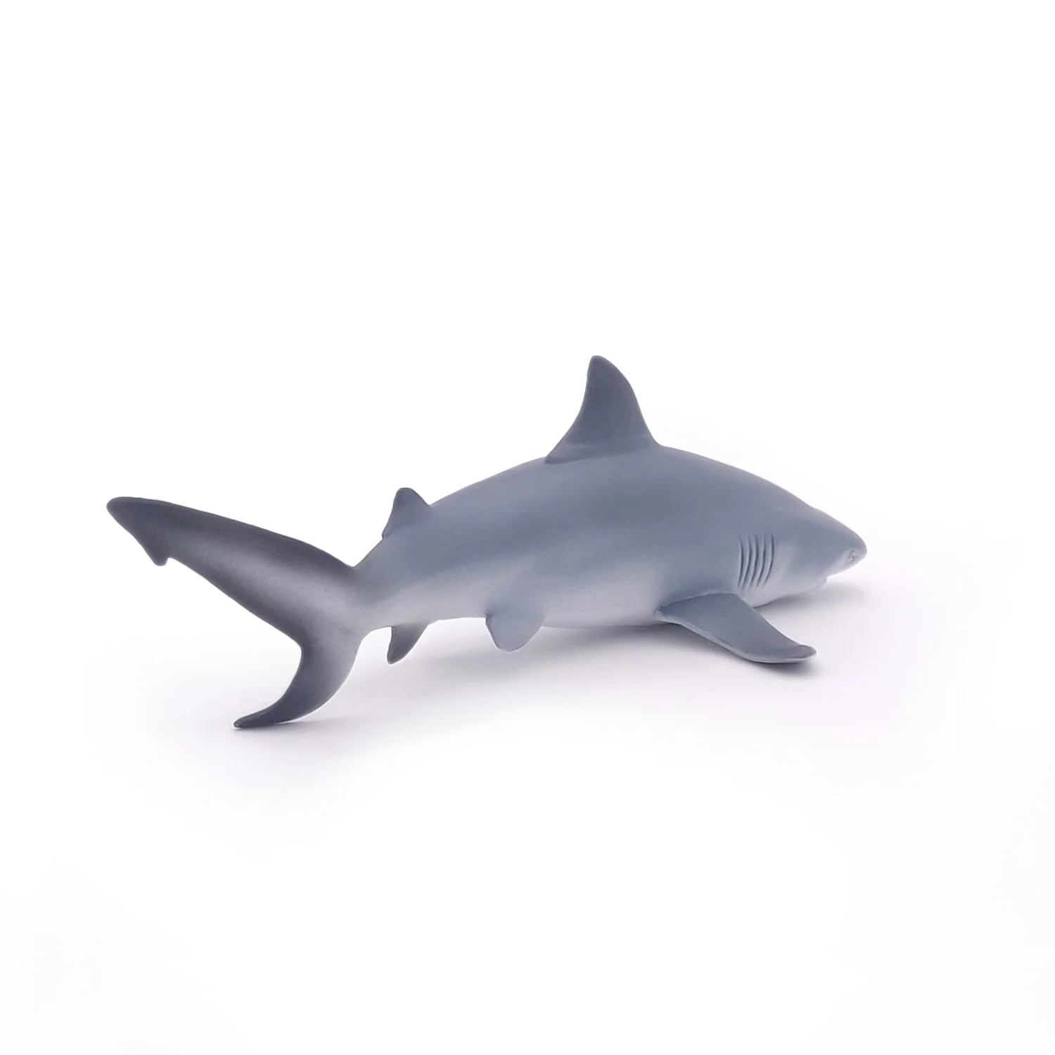 Miniature 5
