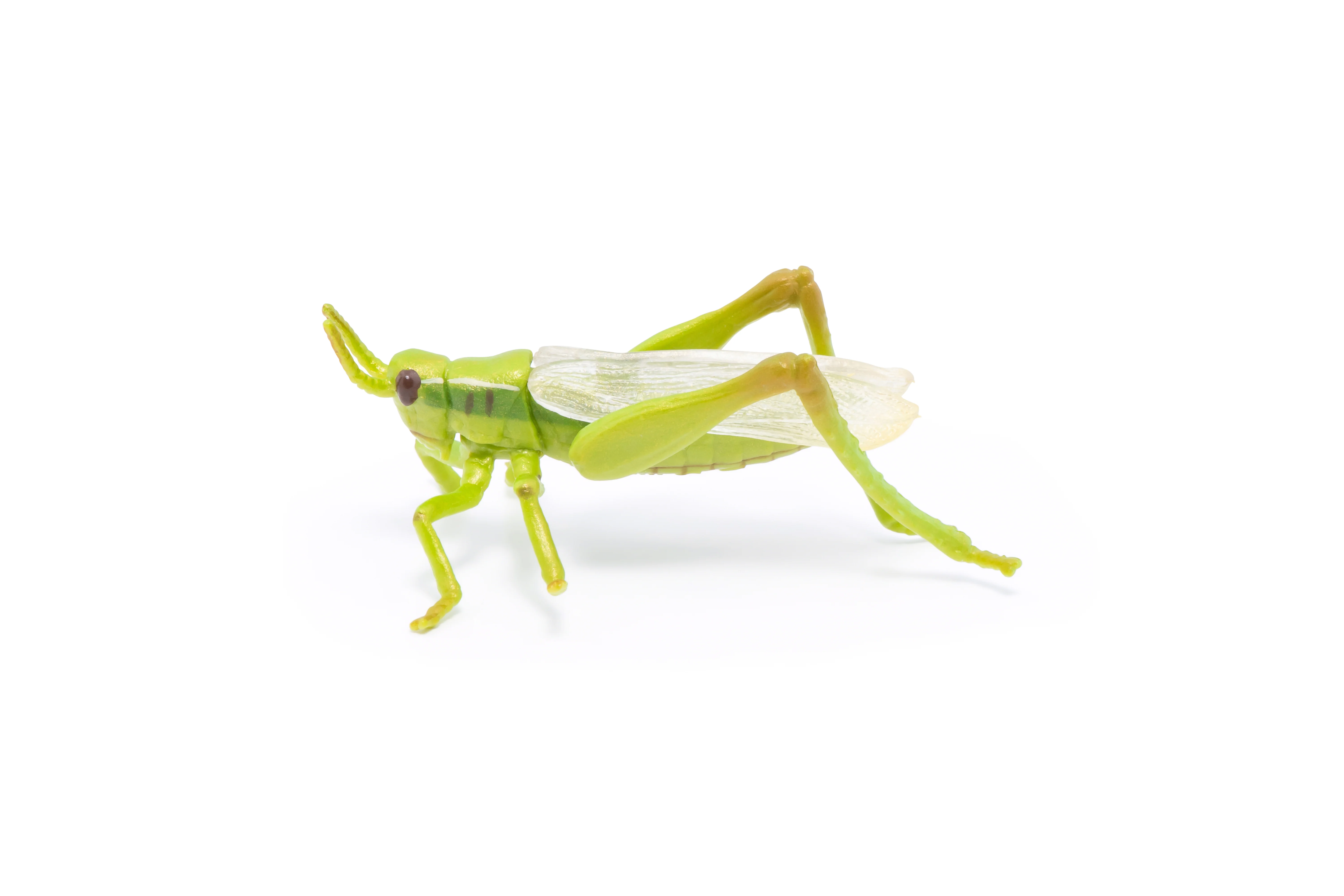 Miniature 2
