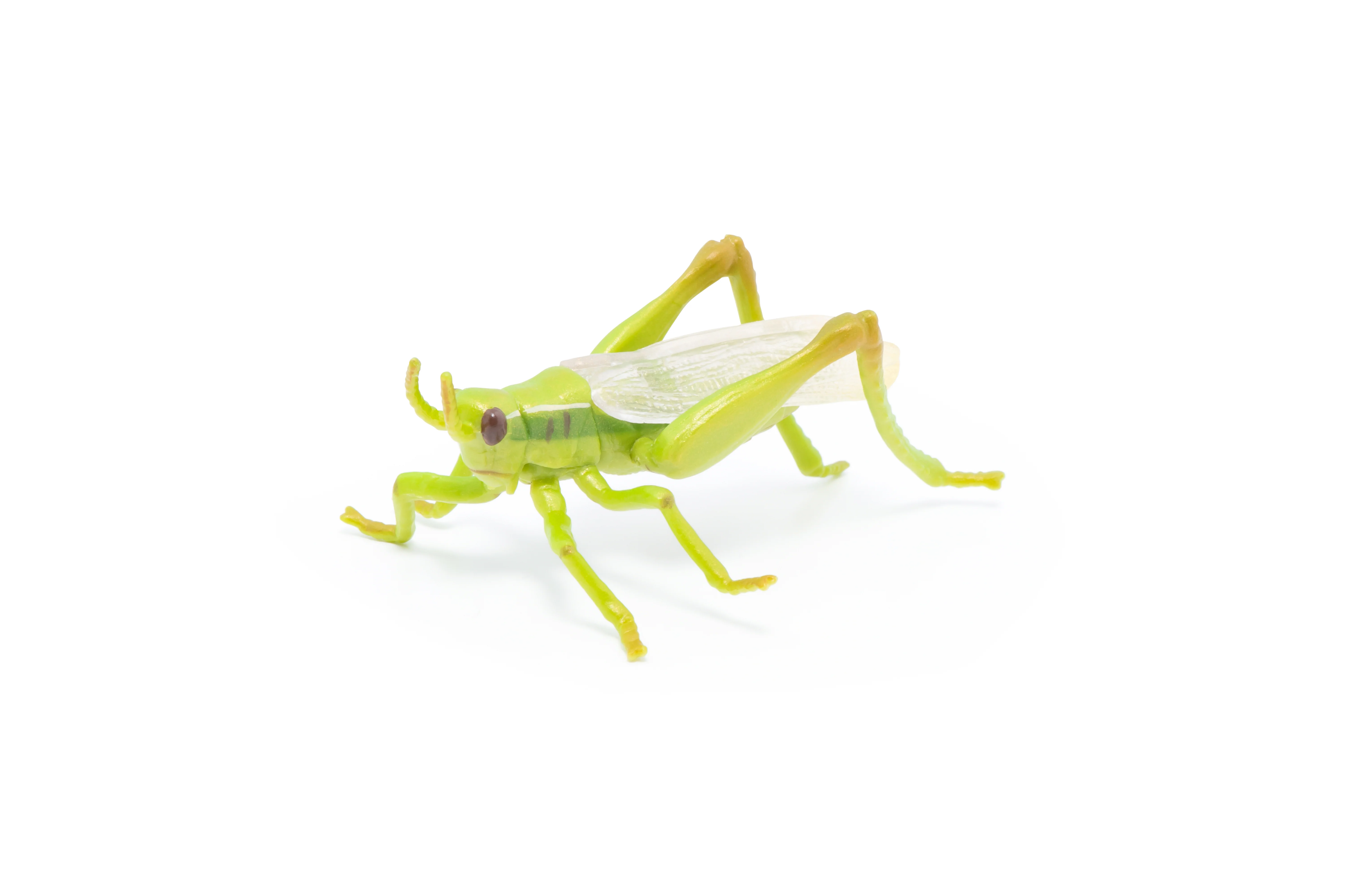 Miniature 3