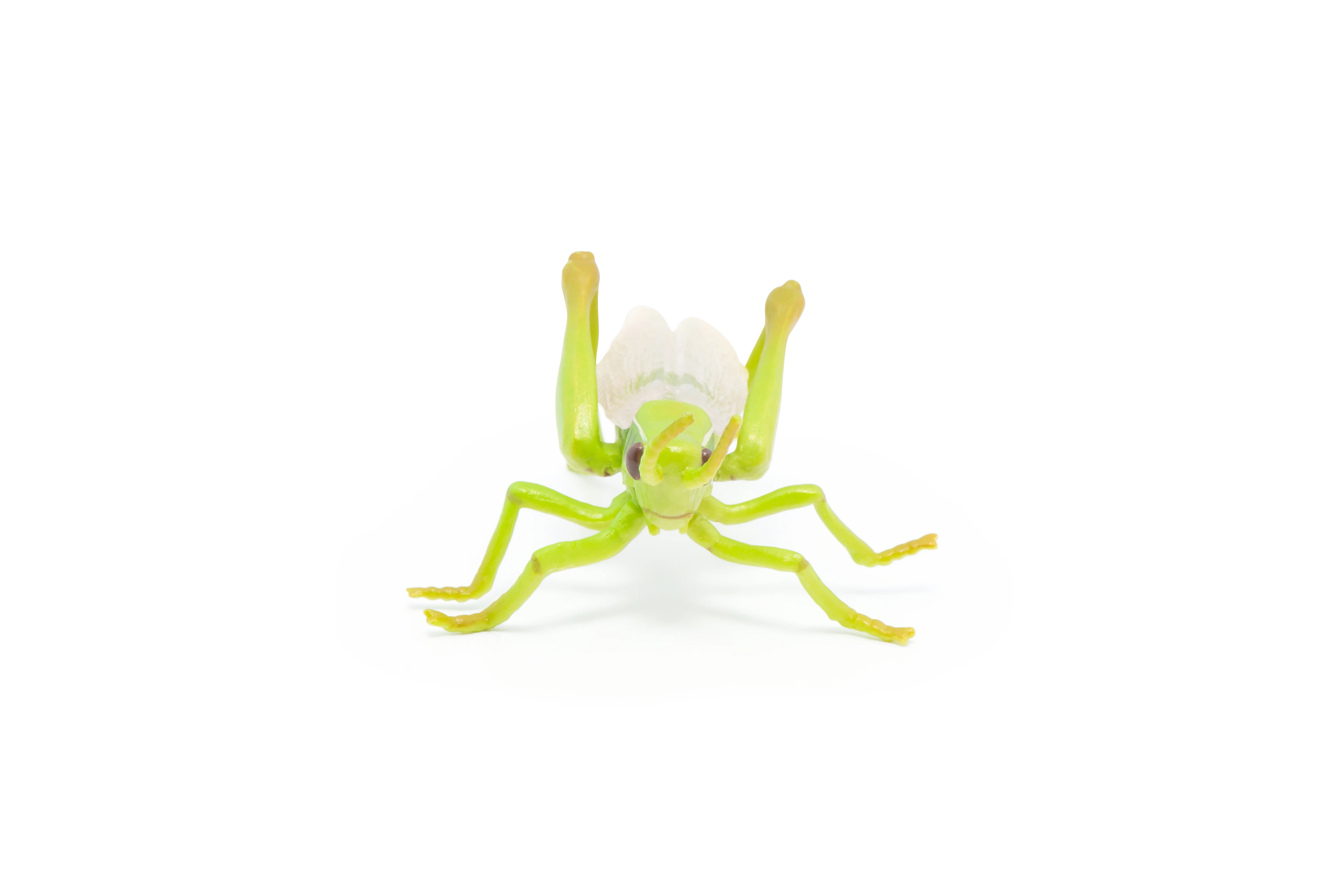 Miniature 4