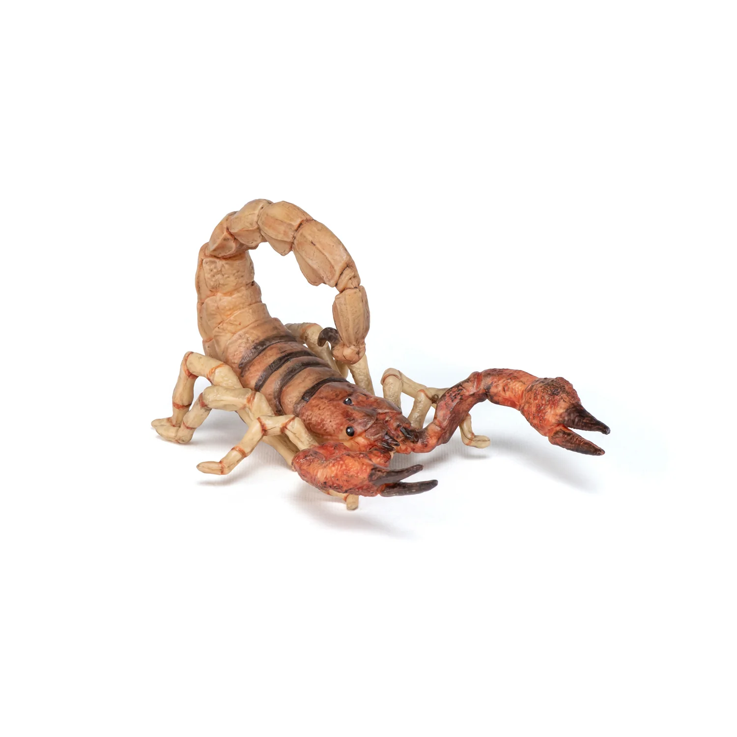 Miniature 3
