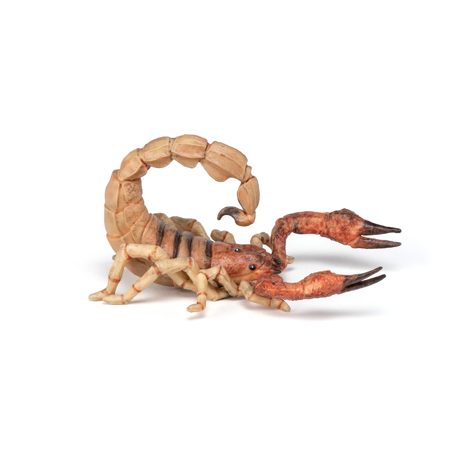 Miniature 4