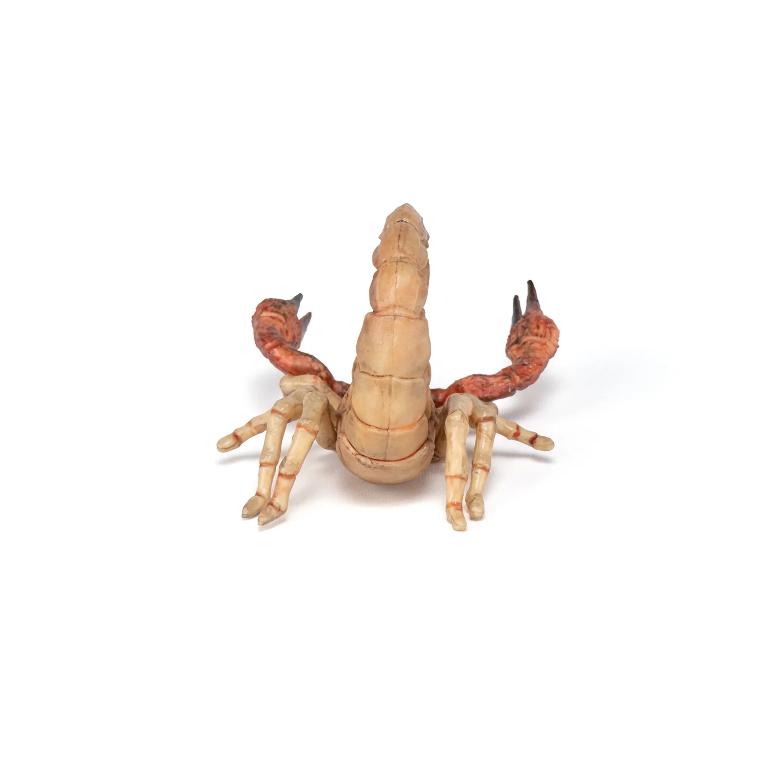 Miniature 5