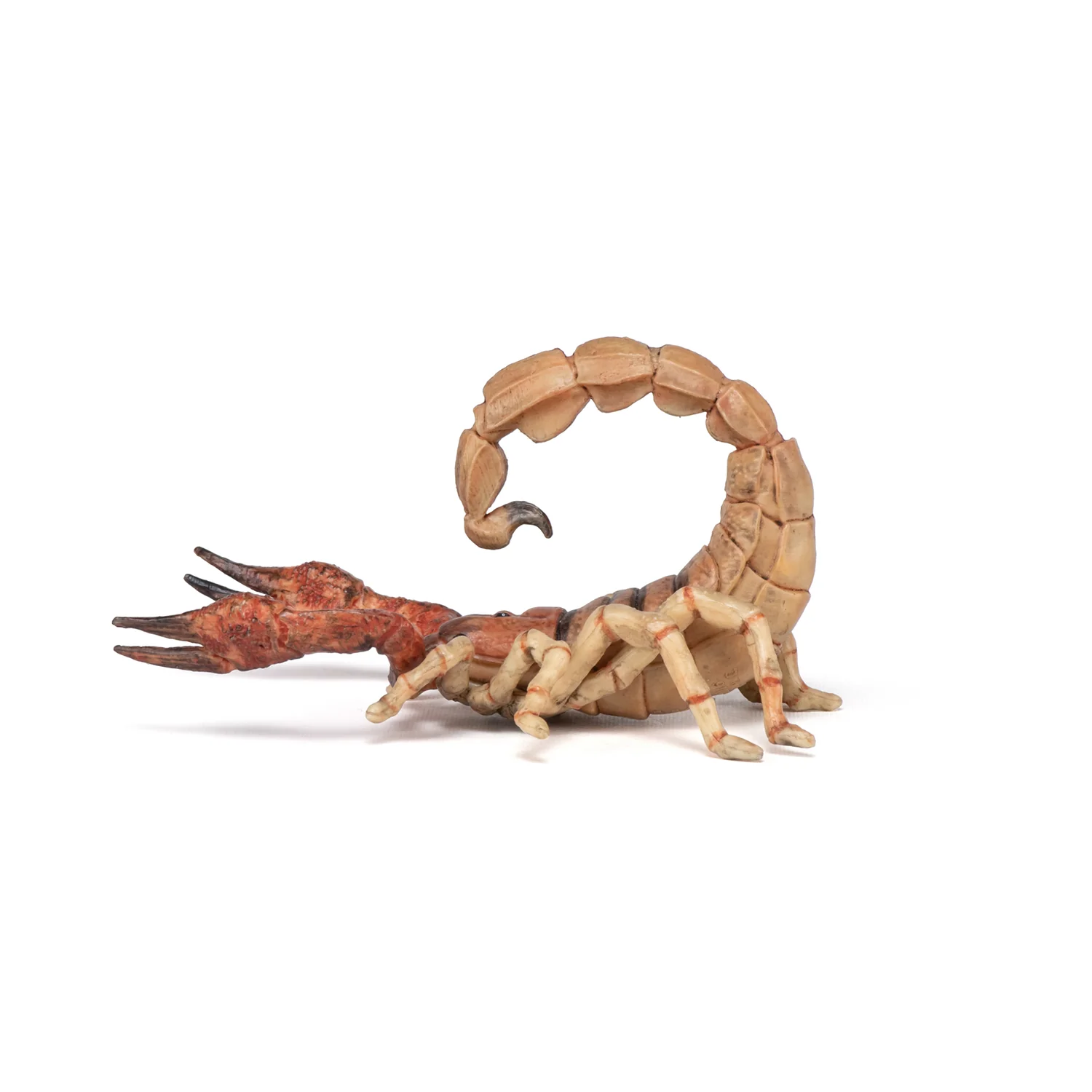 Miniature 6