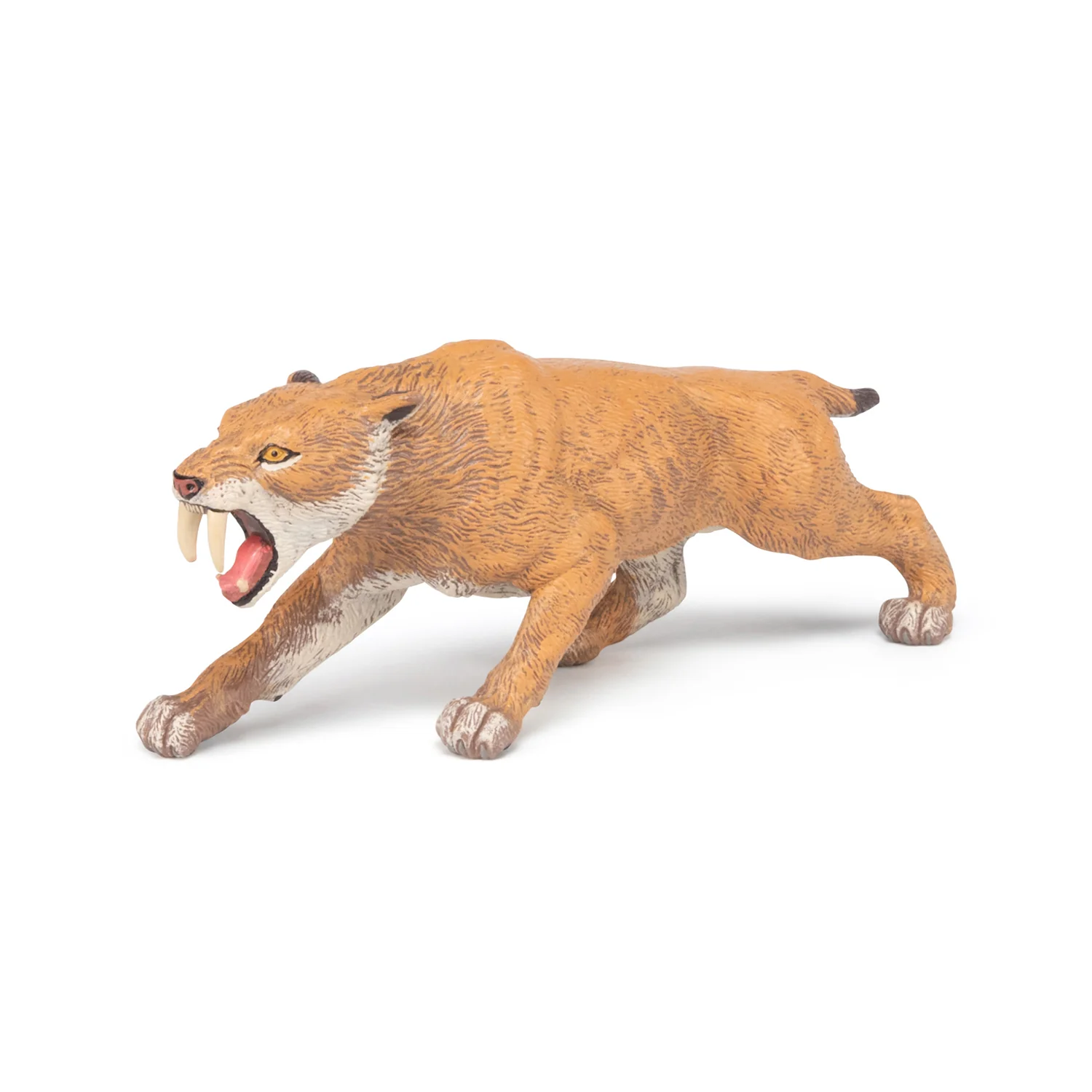 Miniature 5