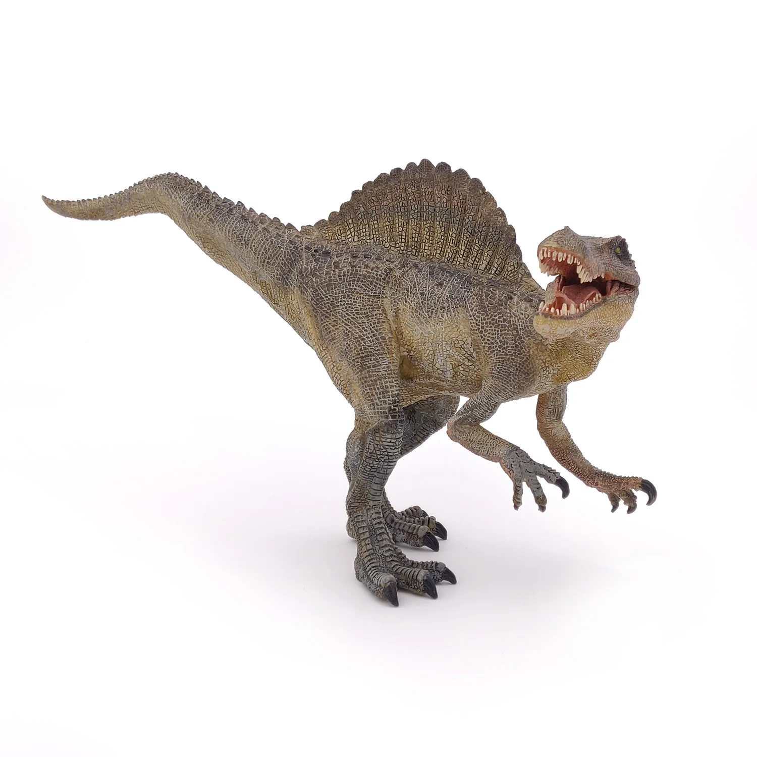 Miniature 5