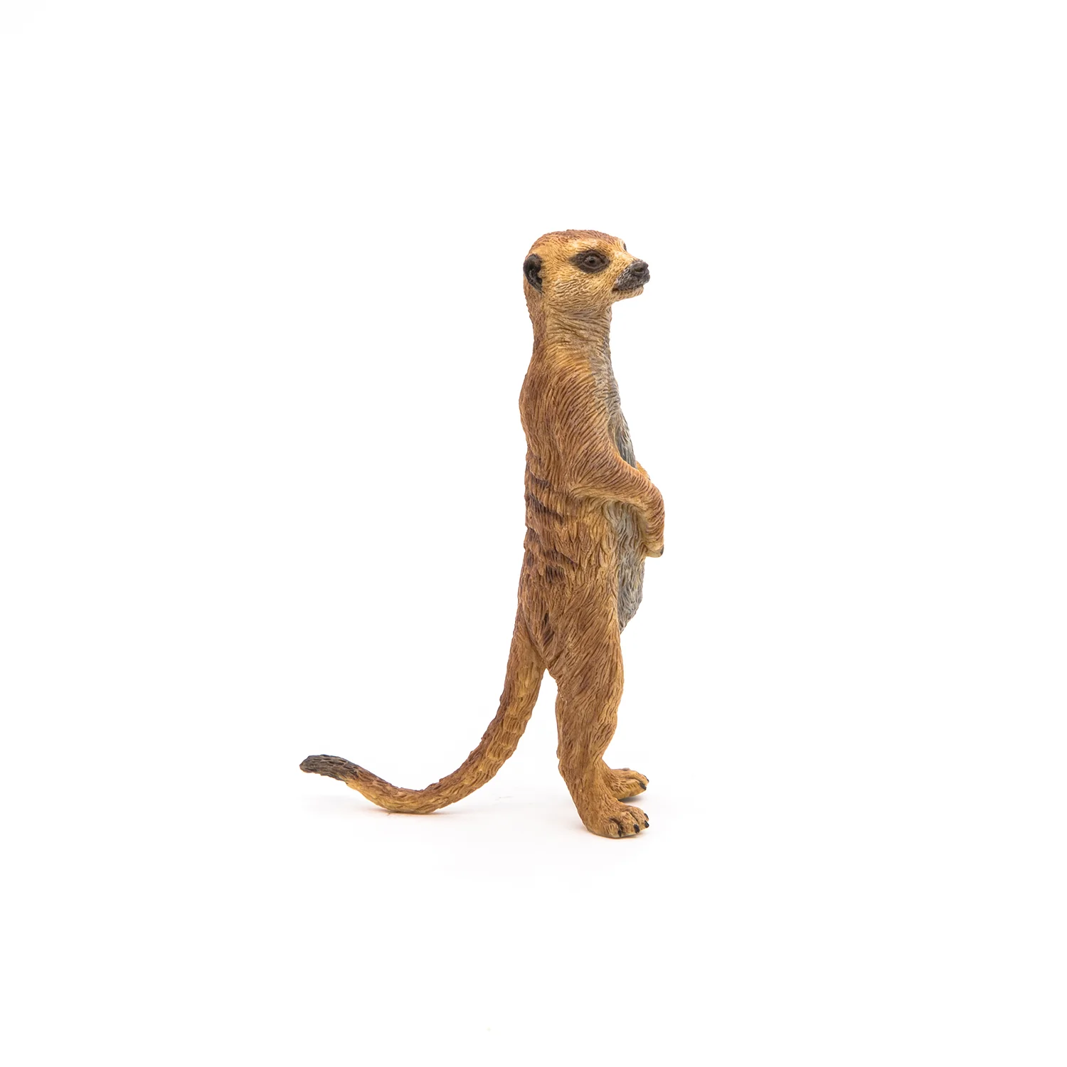 Miniature 3
