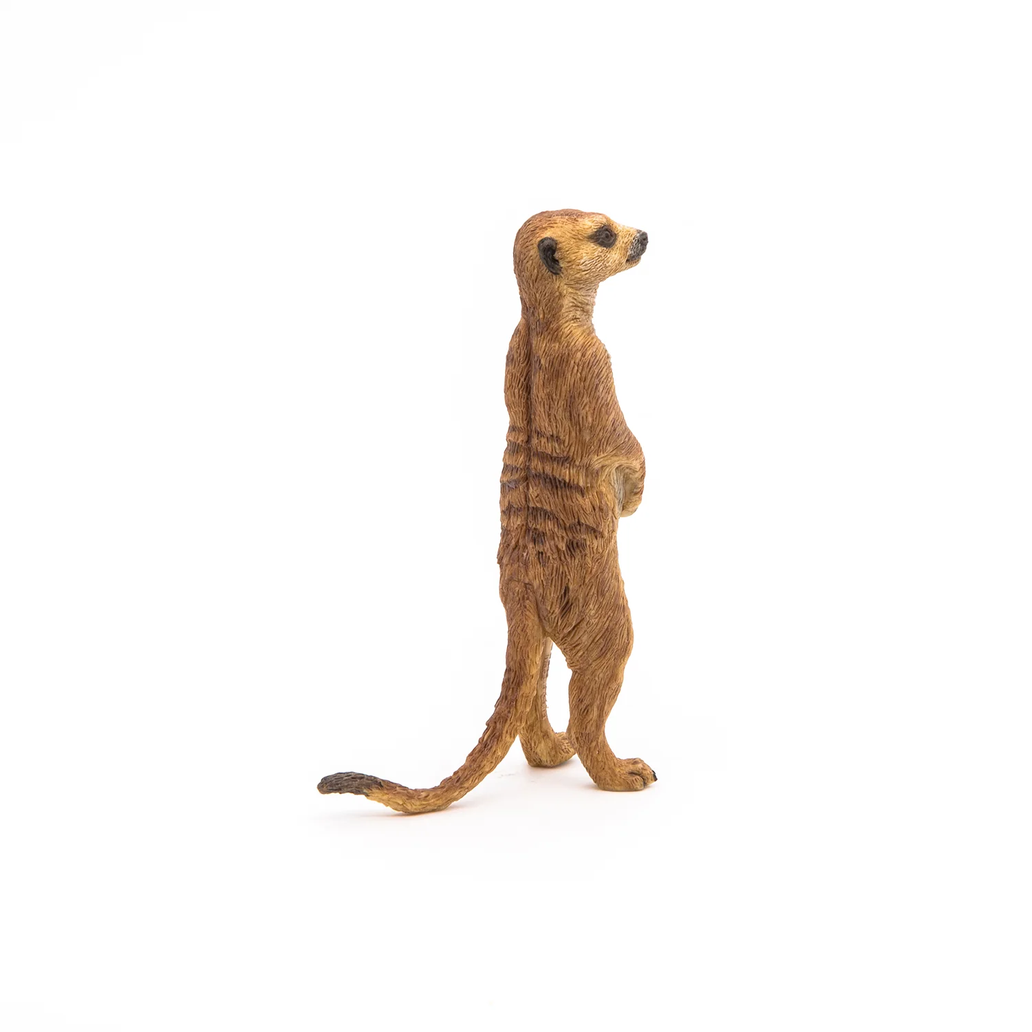 Miniature 4