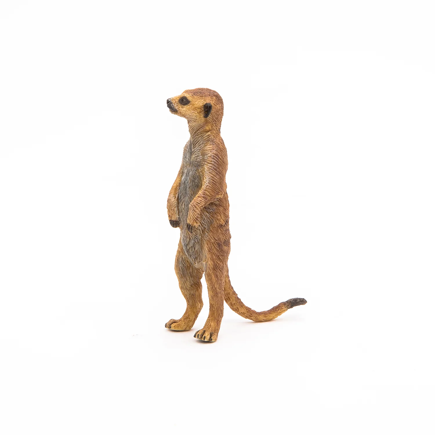 Miniature 5