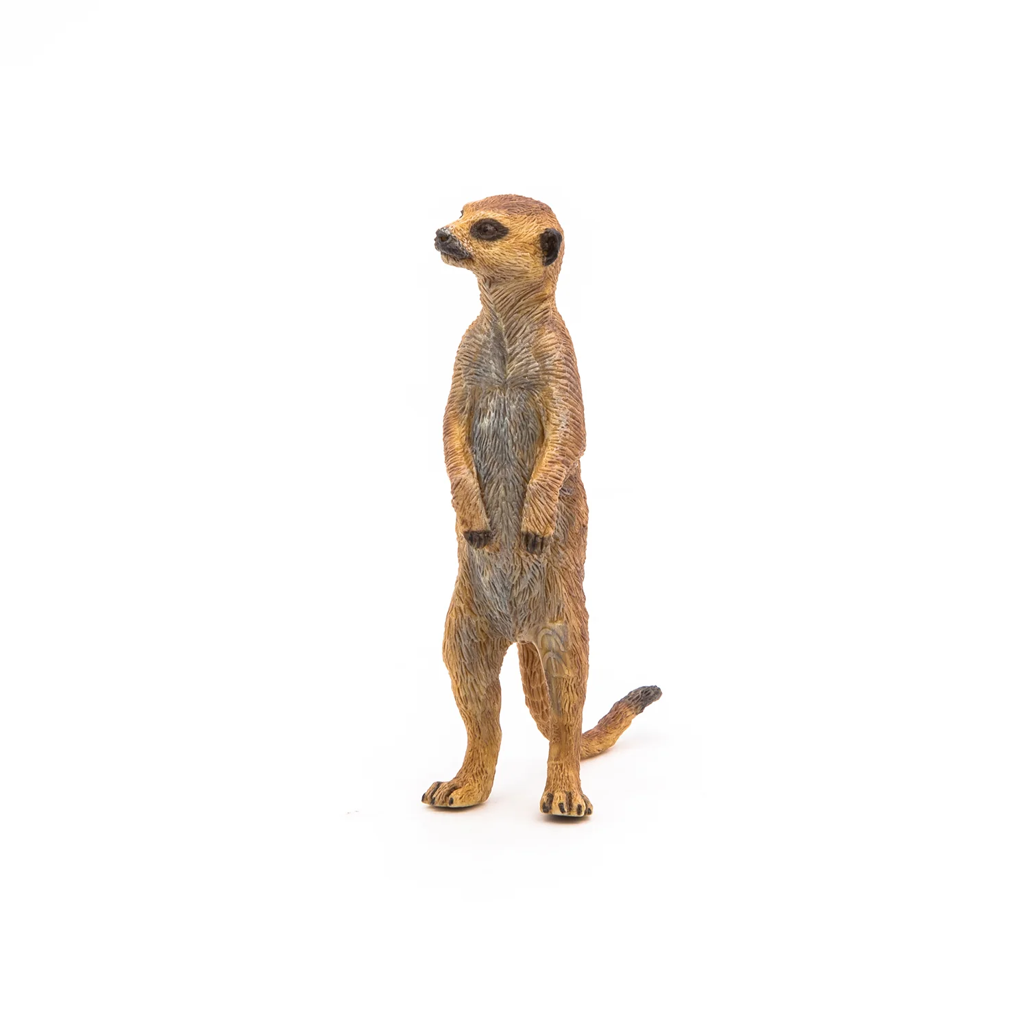 Miniature 6
