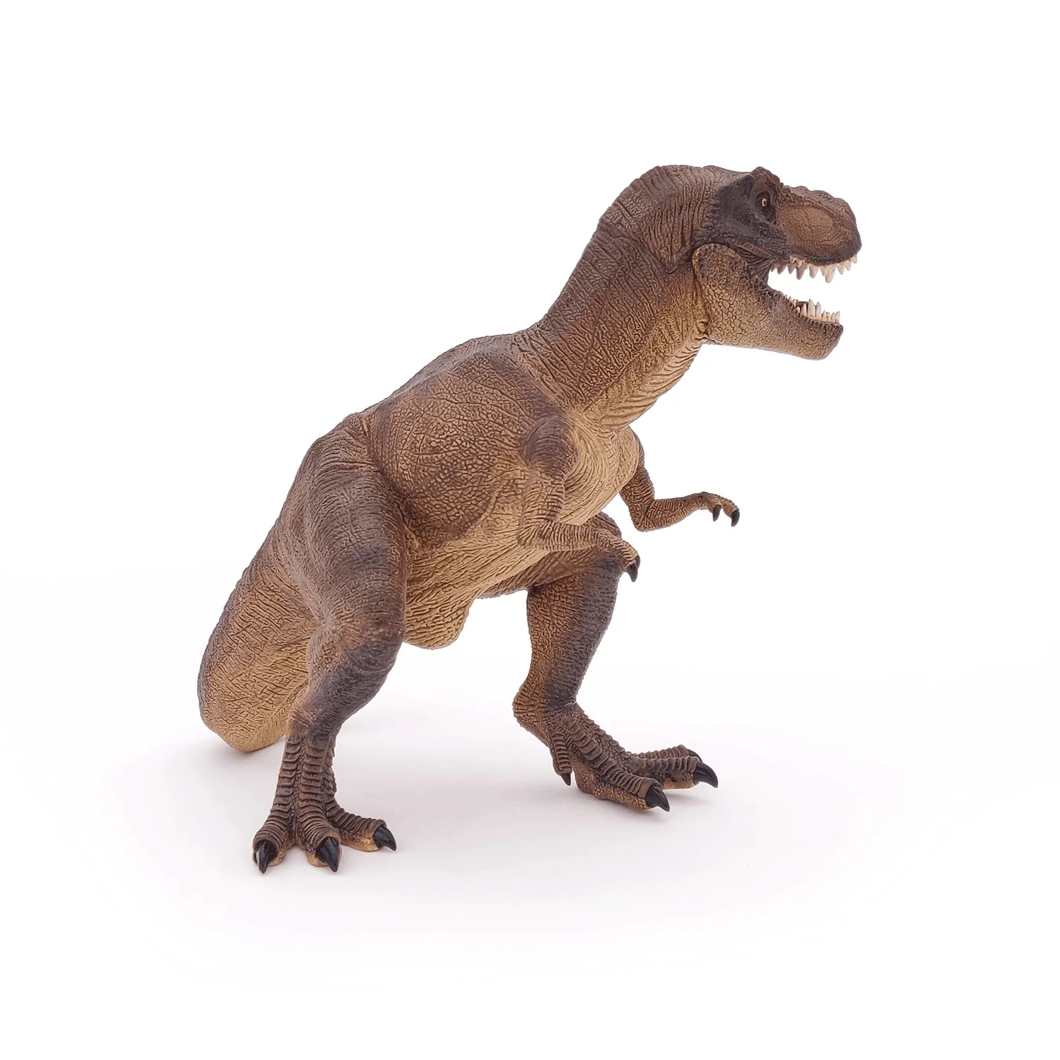 Miniature 5