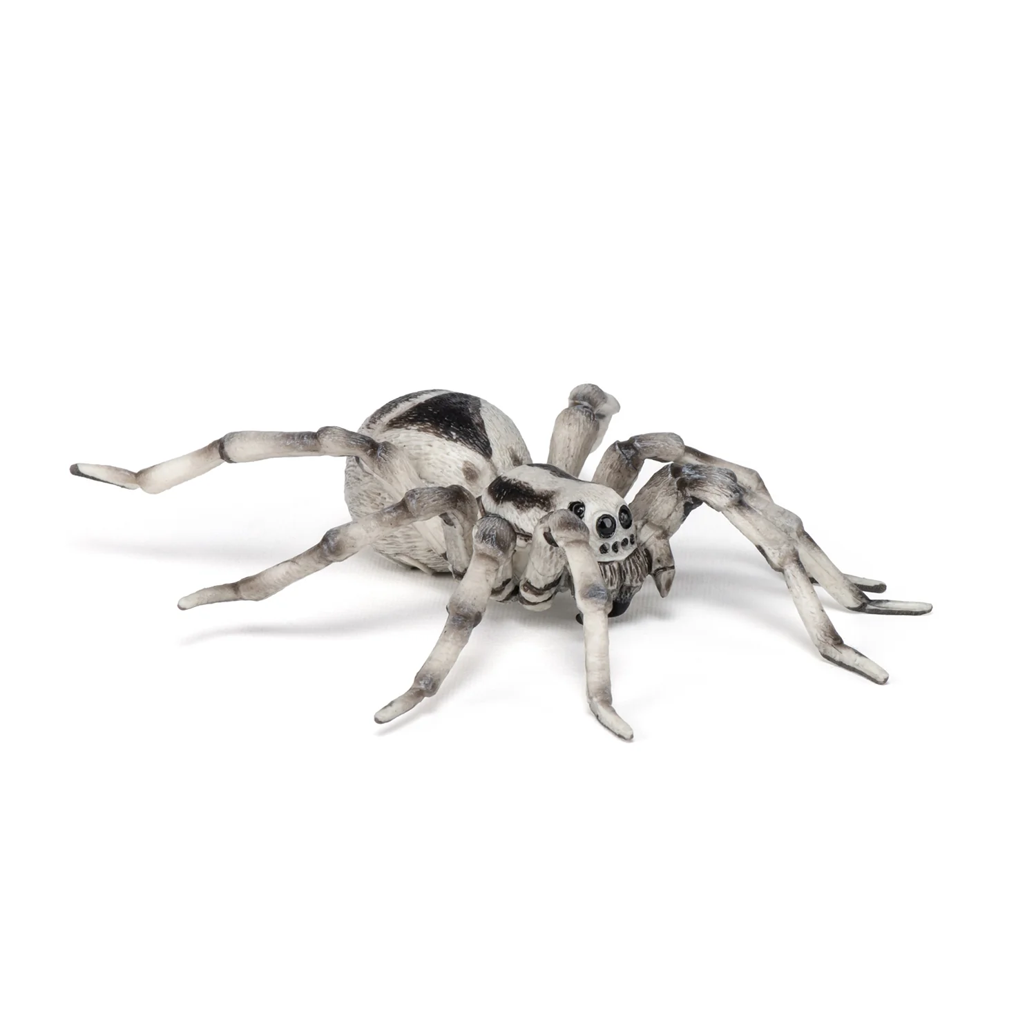 Miniature 6