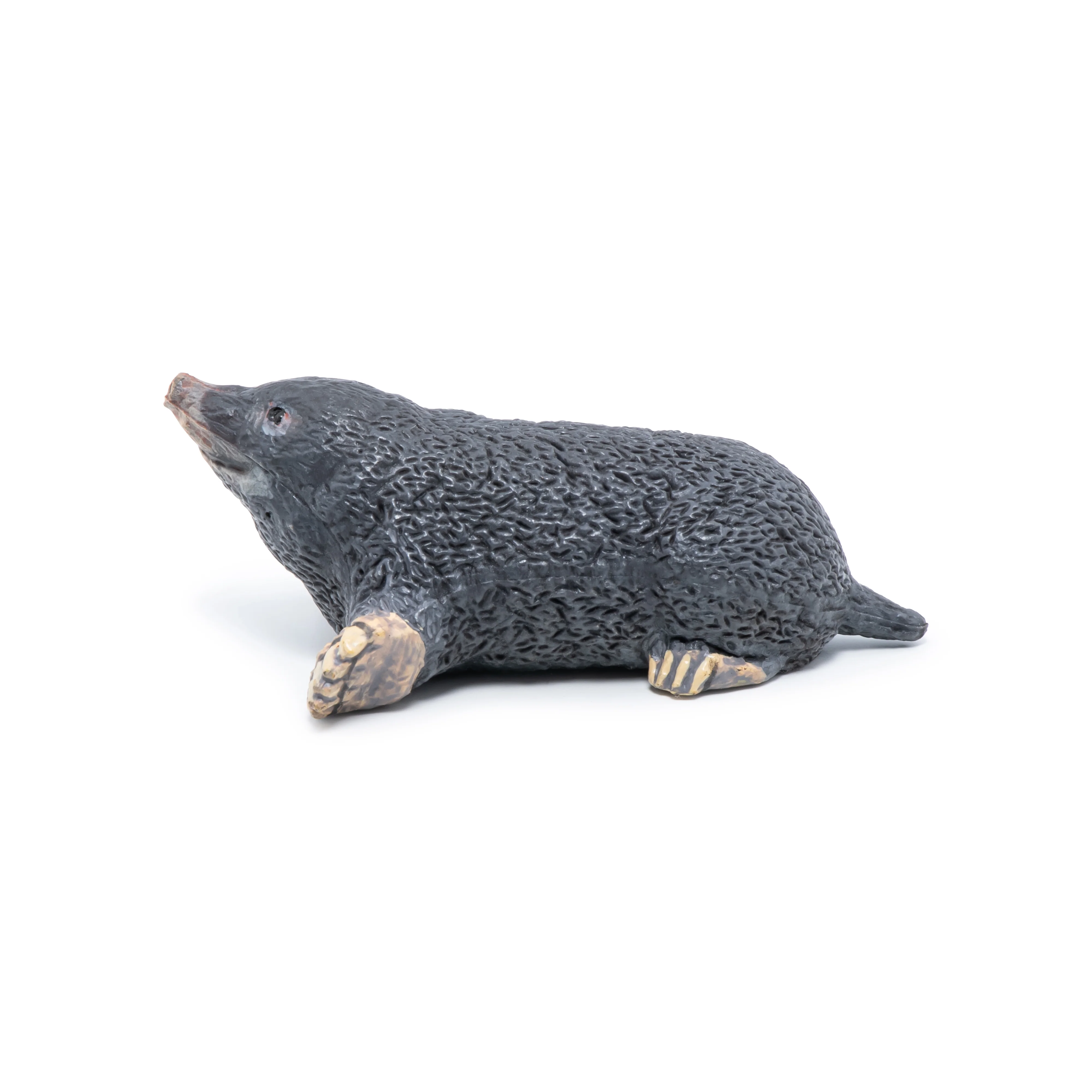 Miniature 5