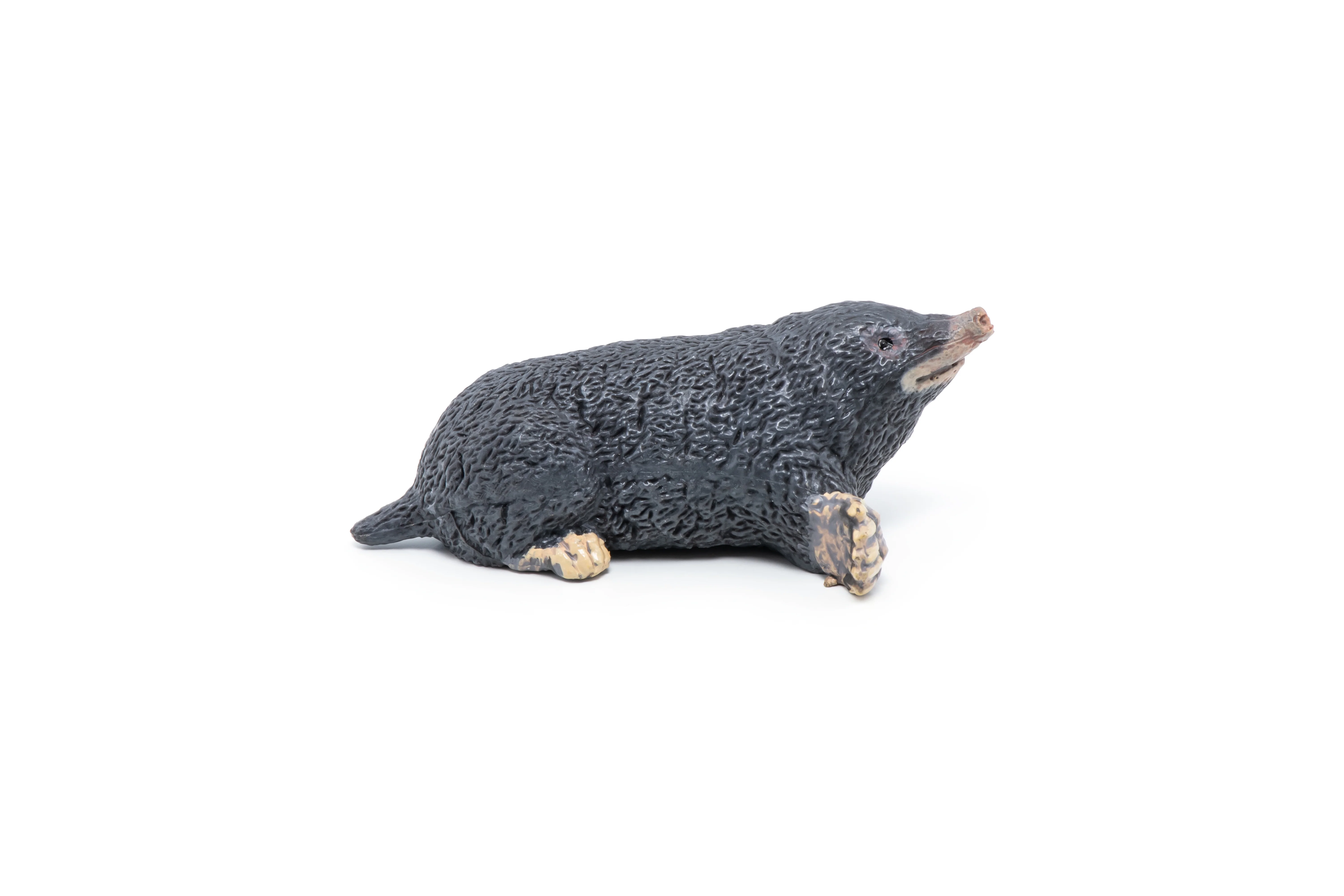 Miniature 7