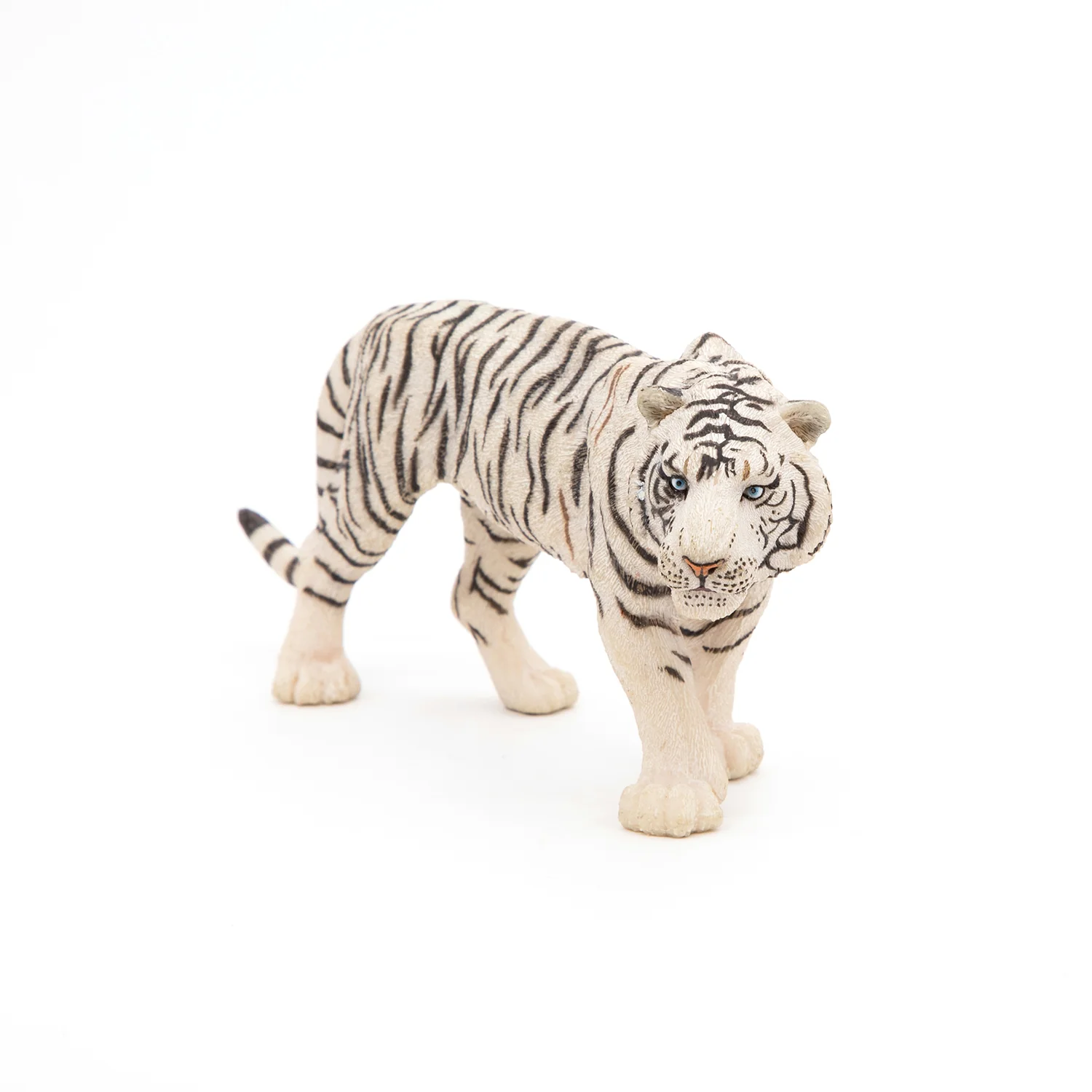 Miniature 5