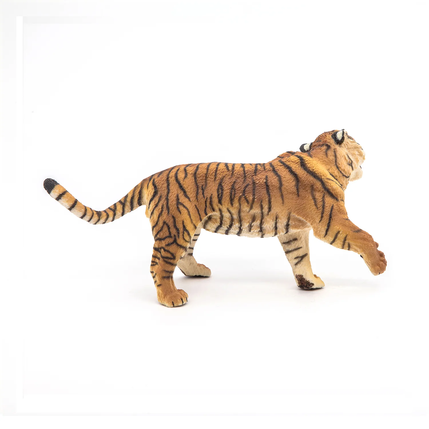 Miniature 5