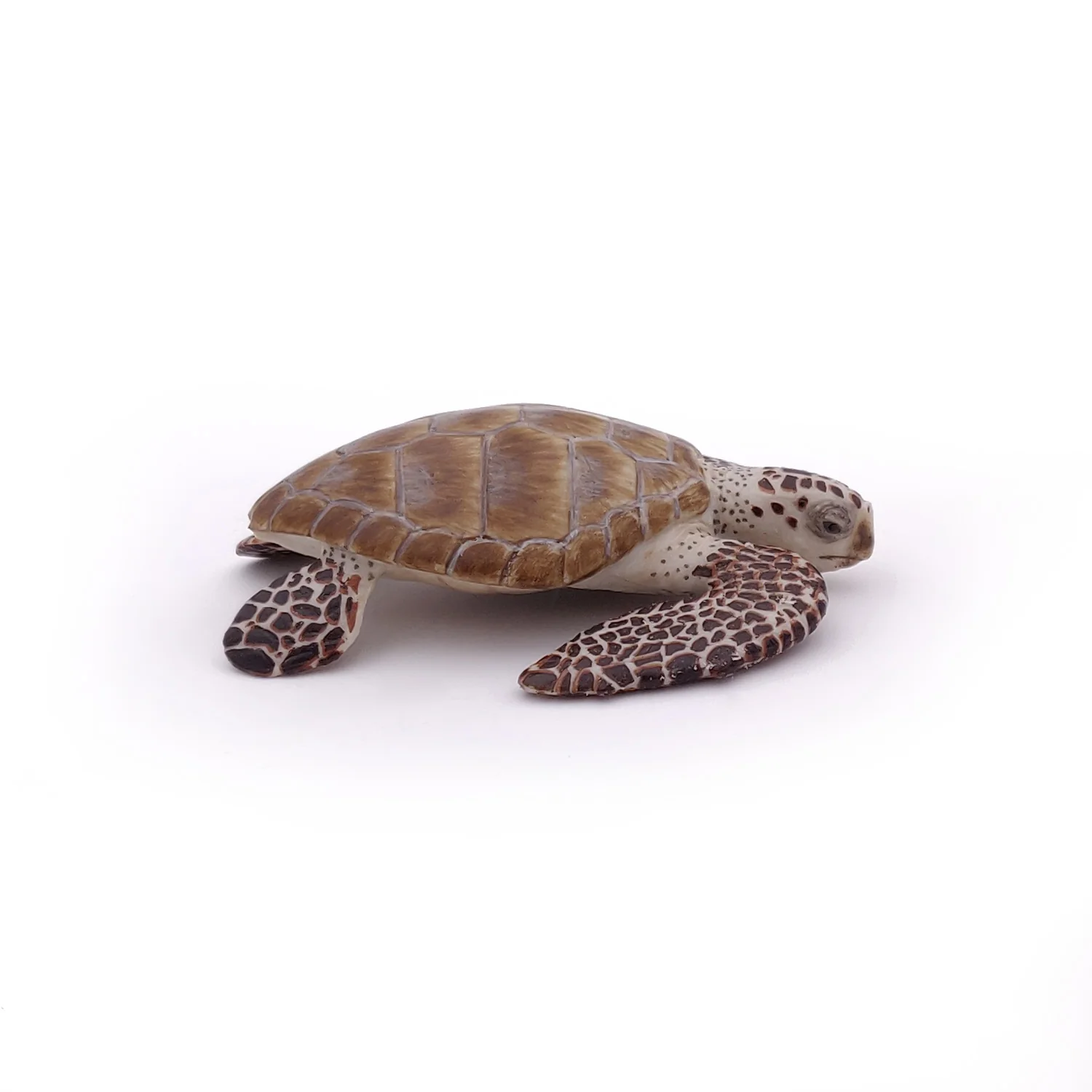 Miniature 5