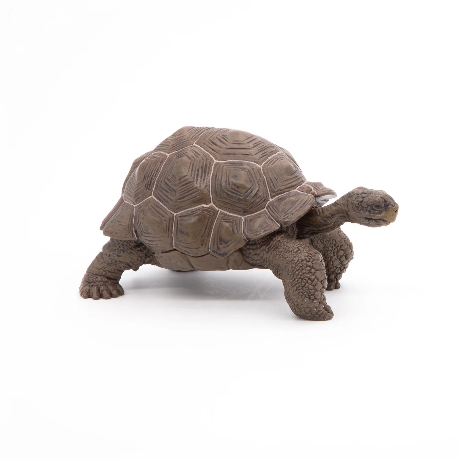 Miniature 5