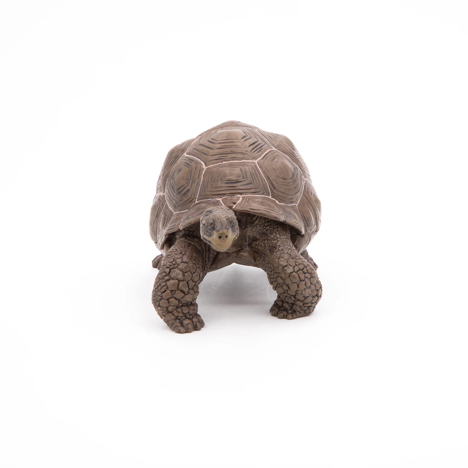 Miniature 7