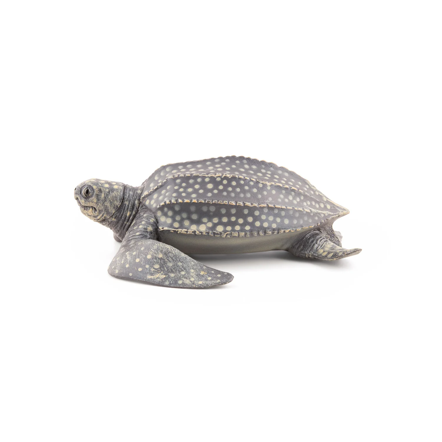 Miniature 5