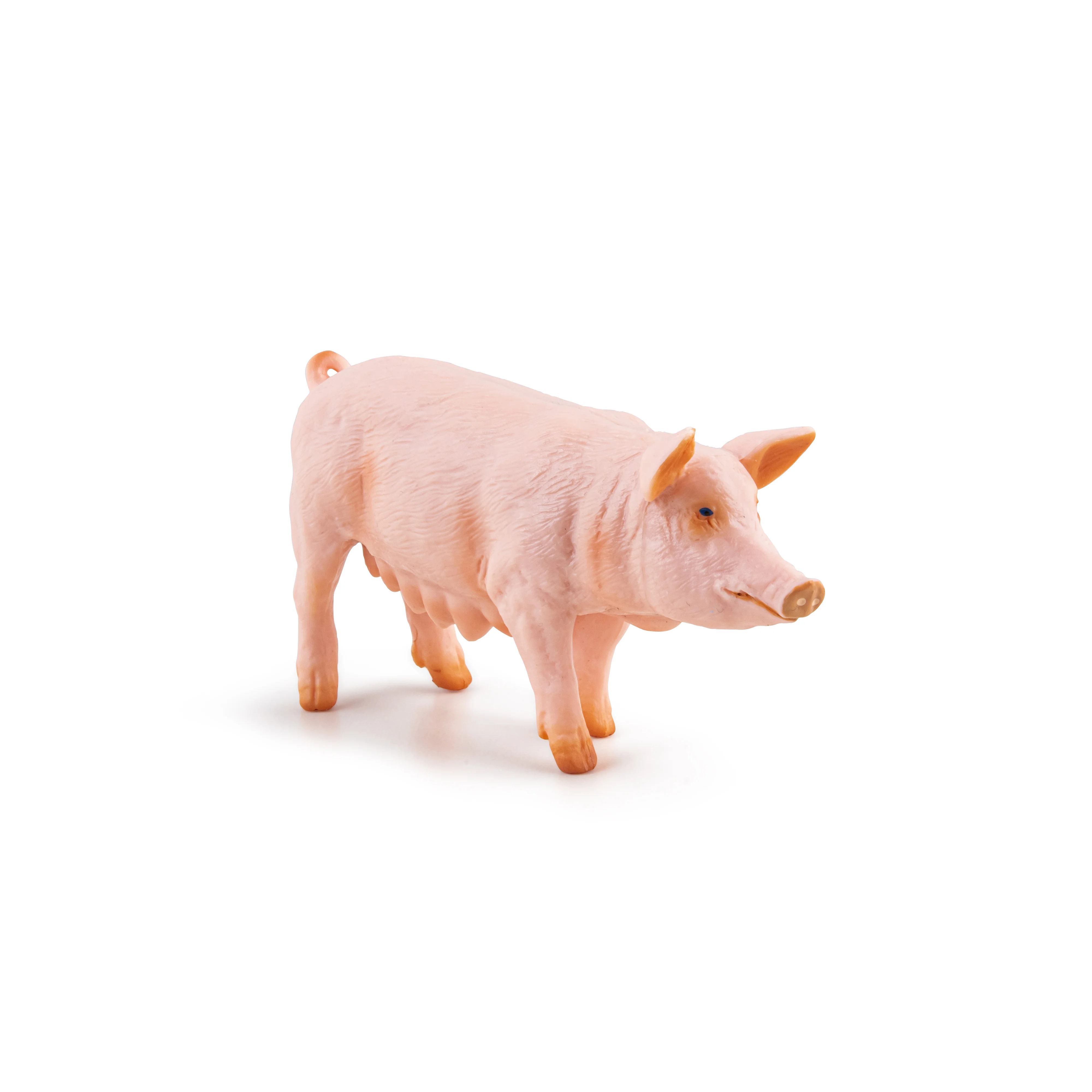 Miniature 5