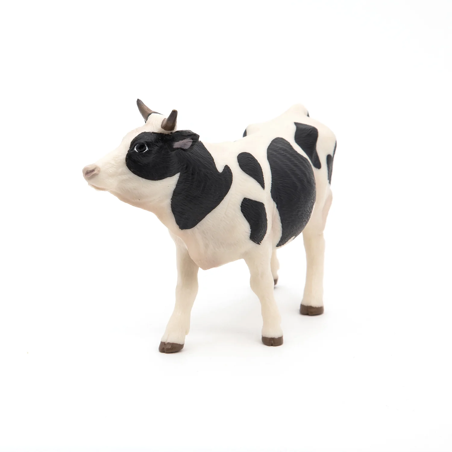 Miniature 5