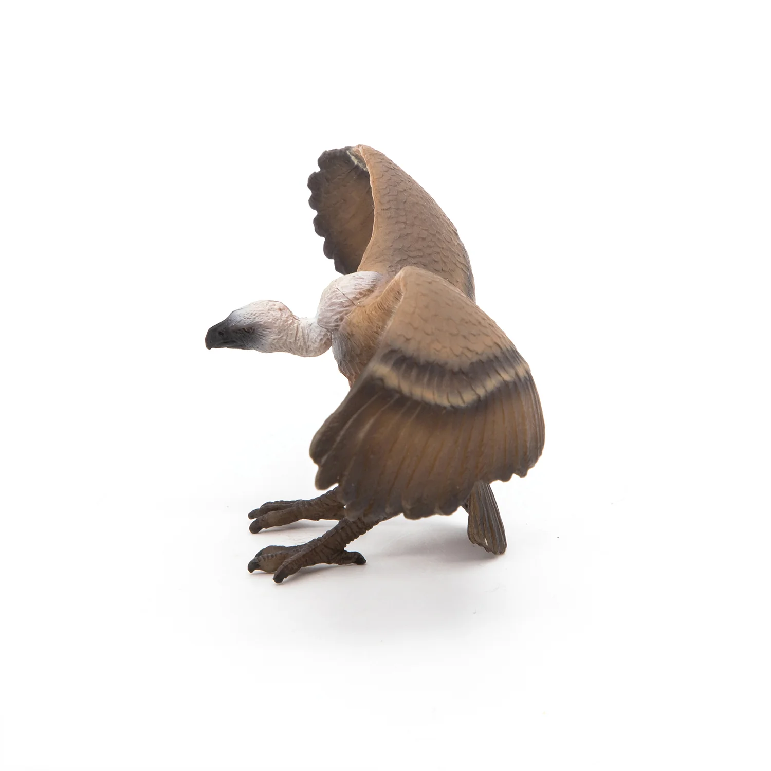 Miniature 5