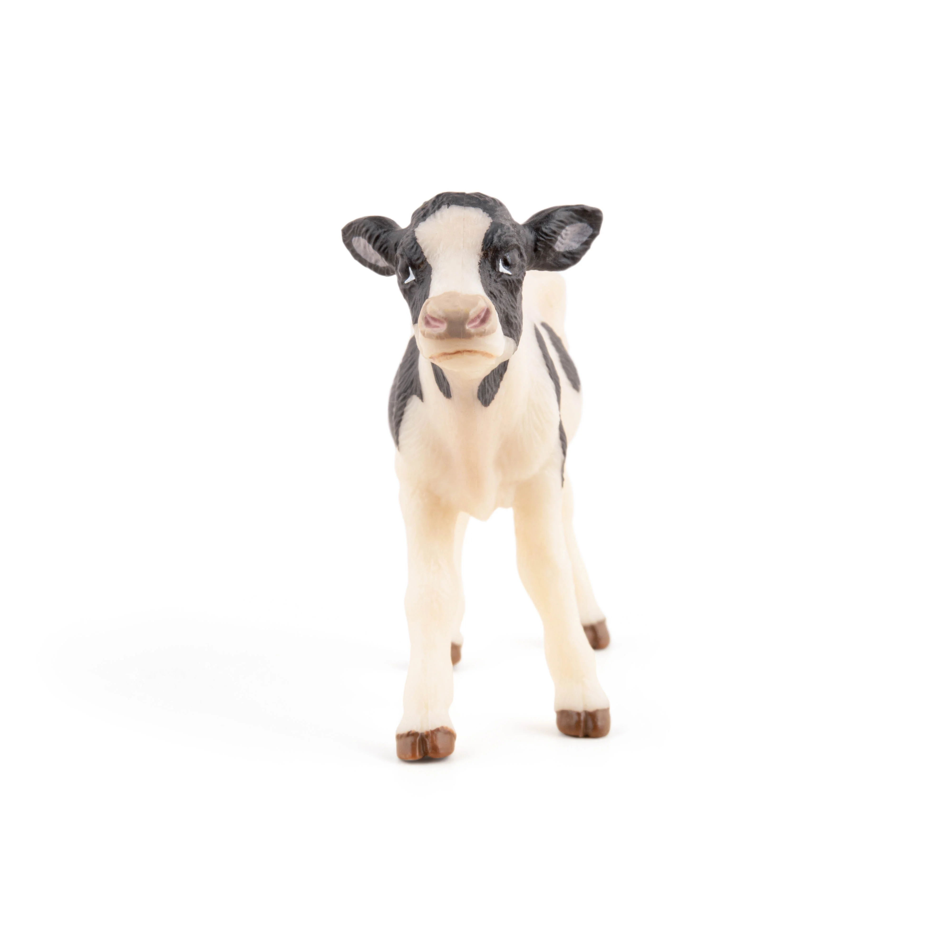 Miniature 5